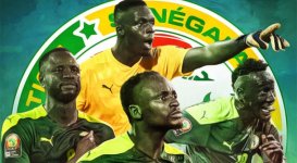 4266C222-2304-495B-8E78-5811FA30DB56.jpeg 4266C222-2304-495B-8E78-5811FA30DB56.jpeg