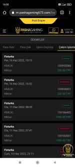 Screenshot_2022-06-17-16-00-50-020_com.android.chrome.jpg