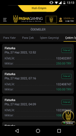 Screenshot_20220627-131315.png