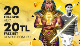Ekran Alıntısı.PNG