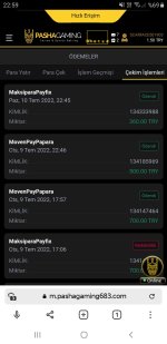 Screenshot_20220710-225908_Browser.jpg