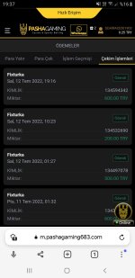 Screenshot_20220712-193707_Browser.jpg