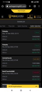 Screenshot_2022-07-13-17-17-45-560_com.android.chrome.jpg