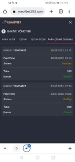 Screenshot_20220808_171916_com.android.chrome.jpg