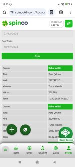 Screenshot_2024-12-10-17-23-33-568_com.android.chrome.jpg