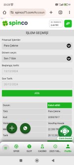 Screenshot_2024-12-20-23-23-01-787_com.android.chrome.jpg