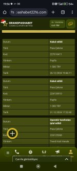 Screenshot_2024-12-26-19-56-25-731_com.android.chrome.jpg