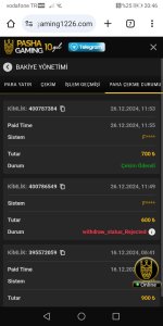 Screenshot_20241226_204634_com.android.chrome.jpg