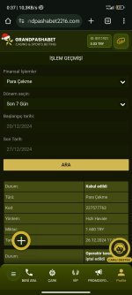 Screenshot_2024-12-27-00-37-25-837_com.android.chrome.jpg