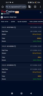 Screenshot_2024-12-28-20-17-08-626_com.android.chrome.jpg