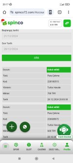 Screenshot_2024-12-28-20-17-38-339_com.android.chrome.jpg