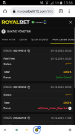 Screenshot_2024-12-29-13-56-05.png