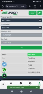 Screenshot_2024-12-29-16-30-36-633_com.android.chrome.jpg