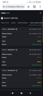 Screenshot_2024-12-29-18-52-08-597_com.android.chrome.jpg