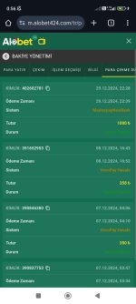 Screenshot_2024-12-30-00-56-14-682_com.android.chrome.jpg
