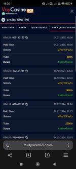 Screenshot_2025-01-04-19-36-39-857_com.yandex.browser.jpg