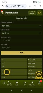 Screenshot_2025-01-06-19-45-23-139_com.android.chrome.jpg