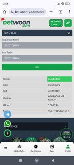 Screenshot_2025-01-09-02-58-06-999_com.android.chrome.jpg