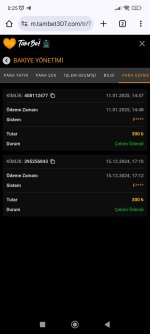 Screenshot_2025-01-12-00-25-31-434_com.android.chrome.jpg