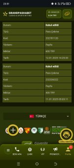 Screenshot_20250112-235142.jpg