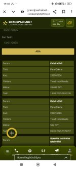 Screenshot_2025-01-13-19-35-14-217_com.android.chrome.jpg