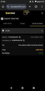 Screenshot_20250113-214223.png