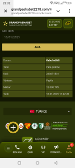 Screenshot_20250113-233254.png