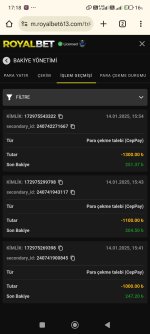 Screenshot_2025-01-14-17-18-08-740_com.android.chrome.jpg
