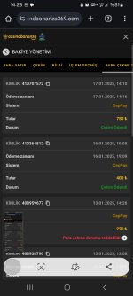Screenshot_20250117_142333_Chrome.jpg
