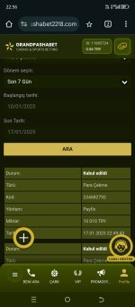 Screenshot_20250117-225600.jpg