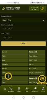Screenshot_20250118_002731_com.huawei.browser.jpg