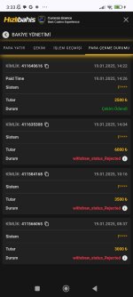 Screenshot_2025-01-20-03-33-21-964_com.android.chrome.jpg