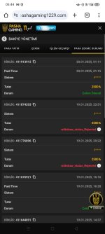 Screenshot_2025-01-20-05-44-18-42.jpg