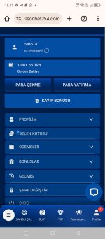 Screenshot_20250120-154118.jpg