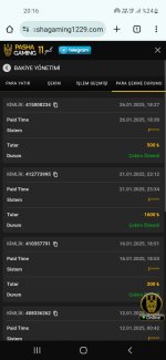 Screenshot_20250126-201606_Chrome.jpg