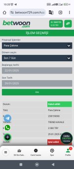 Screenshot_2025-01-29-10-20-12-764_com.android.chrome.jpg