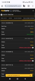 Screenshot_2025-01-29-13-00-19-592_com.android.chrome.jpg
