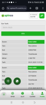 Screenshot_20250129-201744.jpg