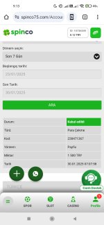 Screenshot_2025-01-30-09-13-03-221_com.android.chrome.jpg