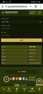 Screenshot_20250131_190951_com.android.chrome.jpg