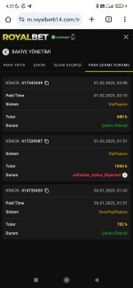 Screenshot_2025-02-01-04-25-54-637_com.android.chrome.jpg