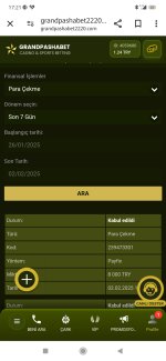 Screenshot_2025-02-02-17-21-31-554_com.android.chrome.jpg