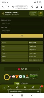 Screenshot_2025-02-04-20-31-06-170_com.android.chrome.jpg