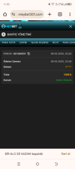 Screenshot_20250209-115017.png