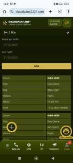 Screenshot_2025-02-11-16-21-55-720_com.android.chrome.jpg