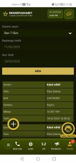 Screenshot_20250218_172825_com.huawei.browser.jpg