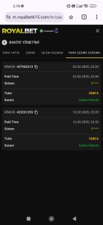 Screenshot_2025-02-23-02-18-18-299_com.android.chrome.jpg