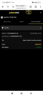 Screenshot_2025-02-23-17-41-51-322_com.android.chrome.jpg
