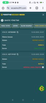 Screenshot_2025-03-14-02-57-41-527_com.android.chrome.jpg