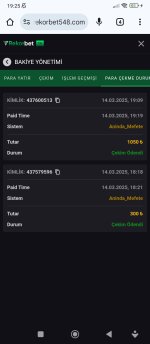 Screenshot_2025-03-14-19-25-05-529_com.android.chrome.jpg